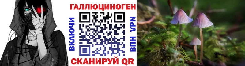 закладка  Заинск  Галлюциногенные грибы Magic Shrooms 