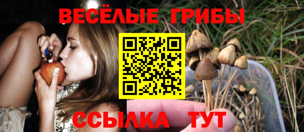 Галлюциногенные грибы прущие грибы  Вход с VPN  Заинск 